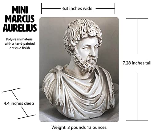 Estatua de Marco Aurelio | Regalo de Estoicismo | Busto/Sujetalibros